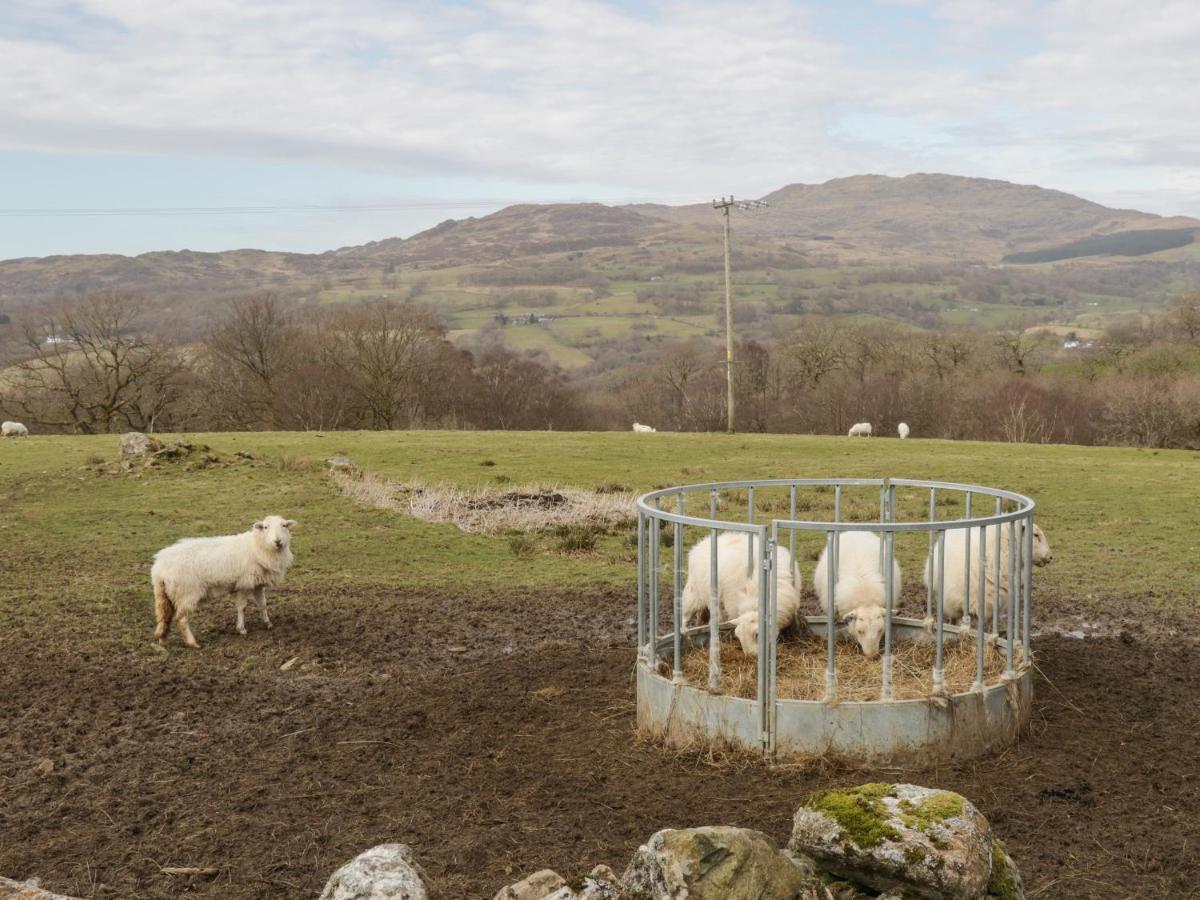 Brithgwm Canol Villa Dolgellau Esterno foto